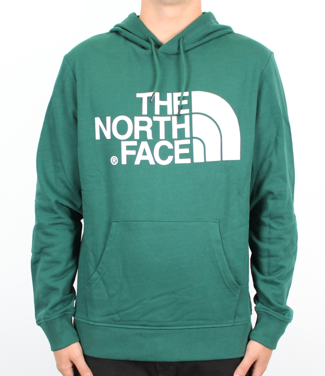 the north face standard hoodie