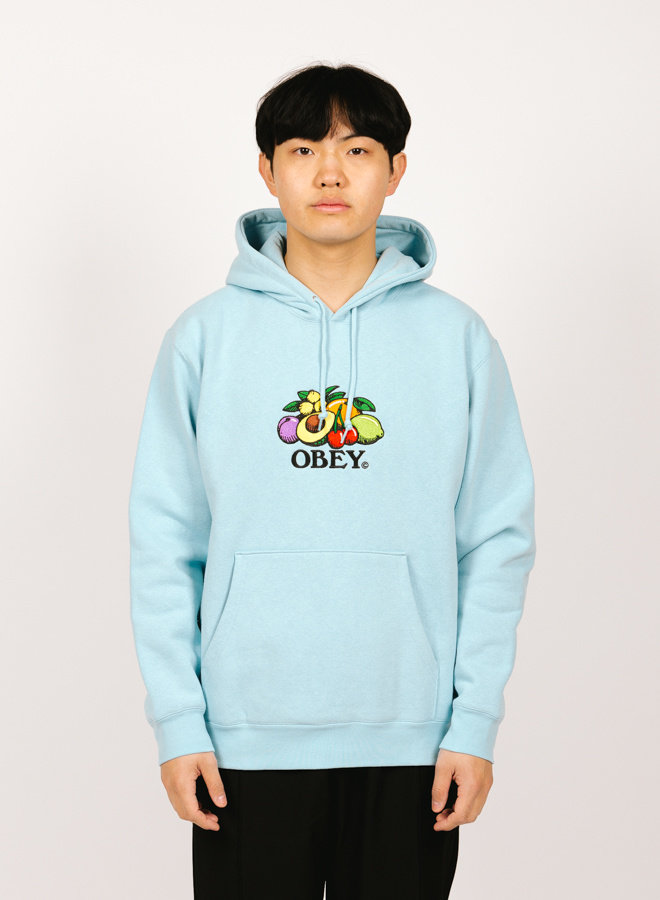 Basket Hood Sky Blue