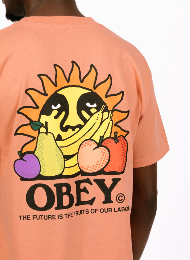 The Future Is The Fruits Of Ours Citrus