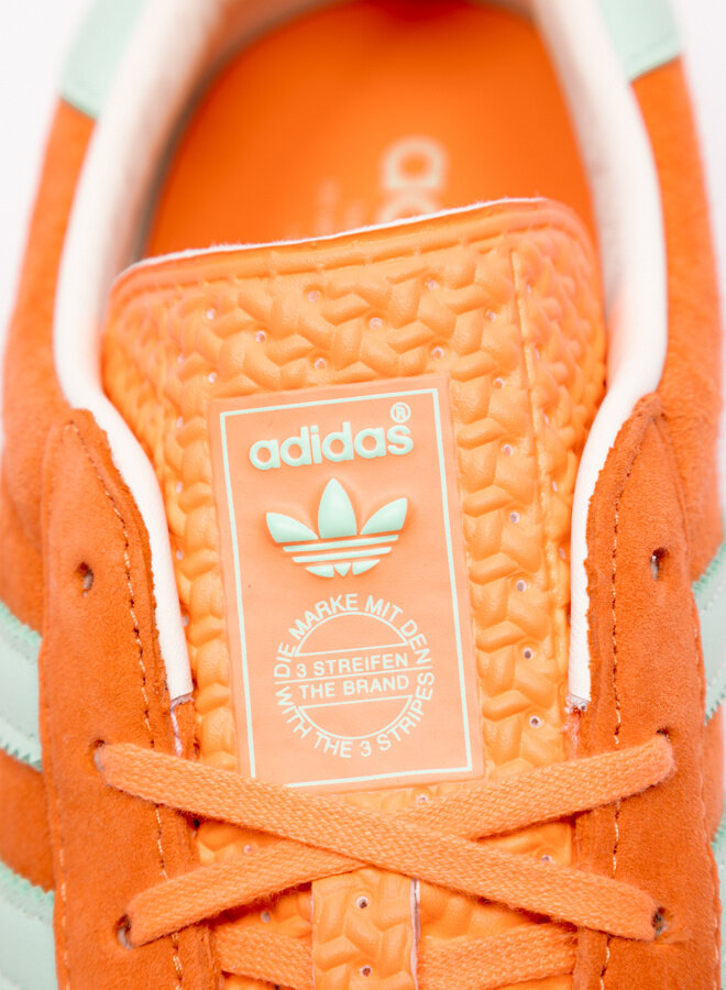 Gazelle Indoor Easy Orange / Clear Mint / Gum