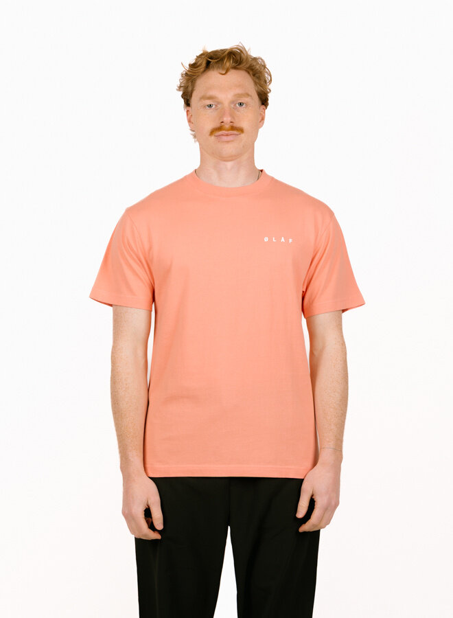 Brushstroke Face Tee Burnt Coral