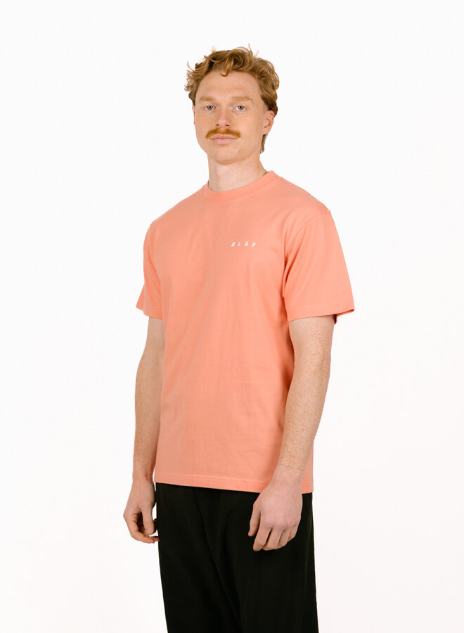 Brushstroke Face Tee Burnt Coral