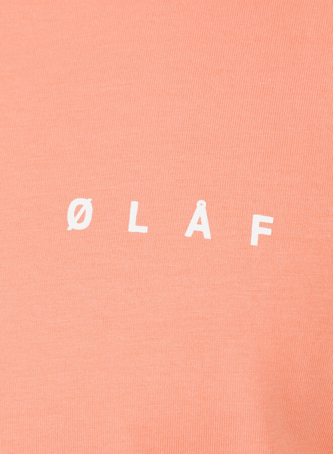 Brushstroke Face Tee Burnt Coral