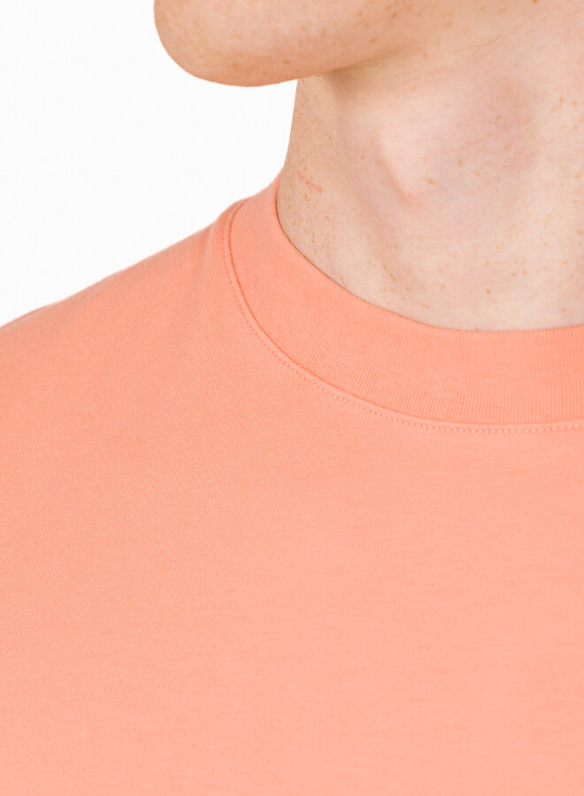 Brushstroke Face Tee Burnt Coral