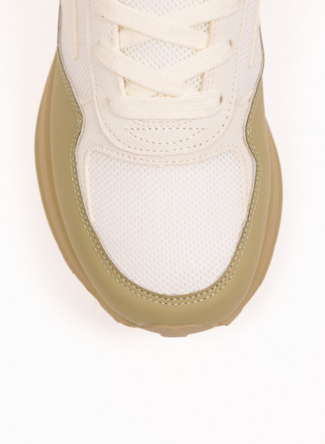 Silver Shadow RGS Gardenia / Black Beauty / Slate Green / Bright White