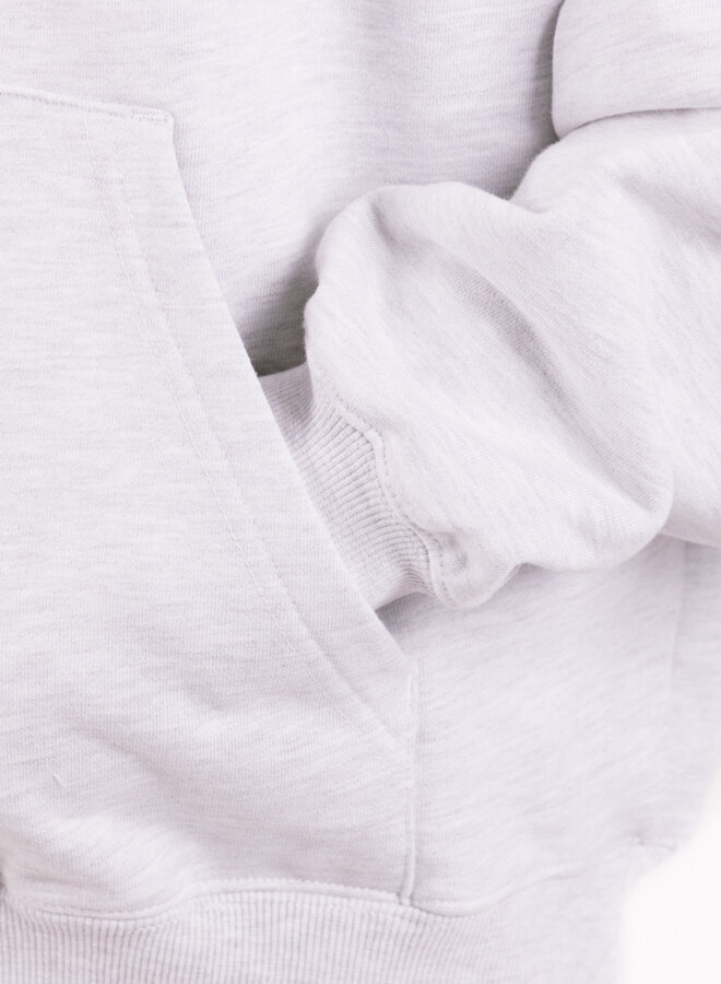 New Amsterdam Surf Association Logo Hoodie Ash / Poppy Red