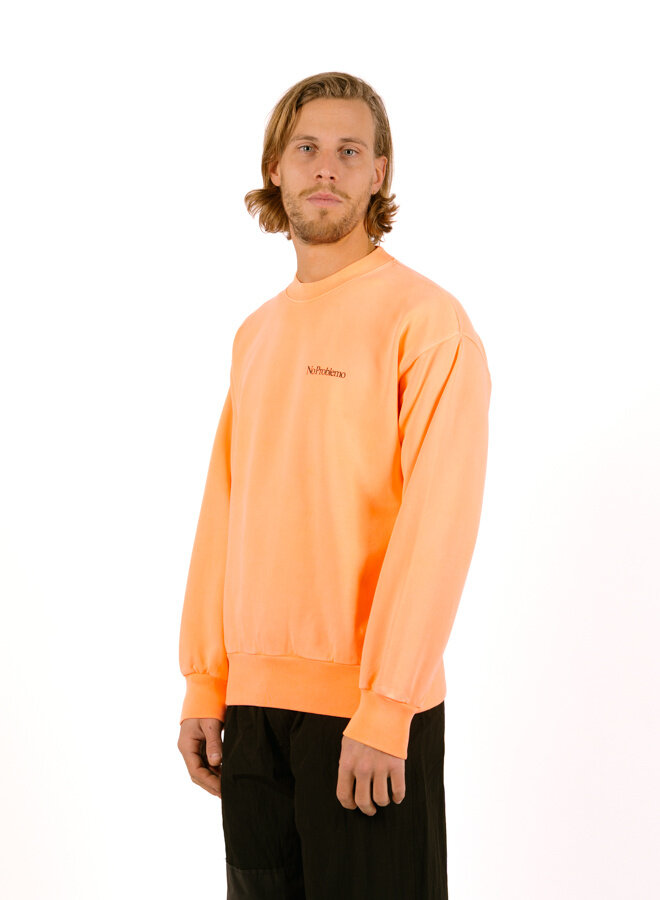 Mini Problemo Sweatshirt Men Coral