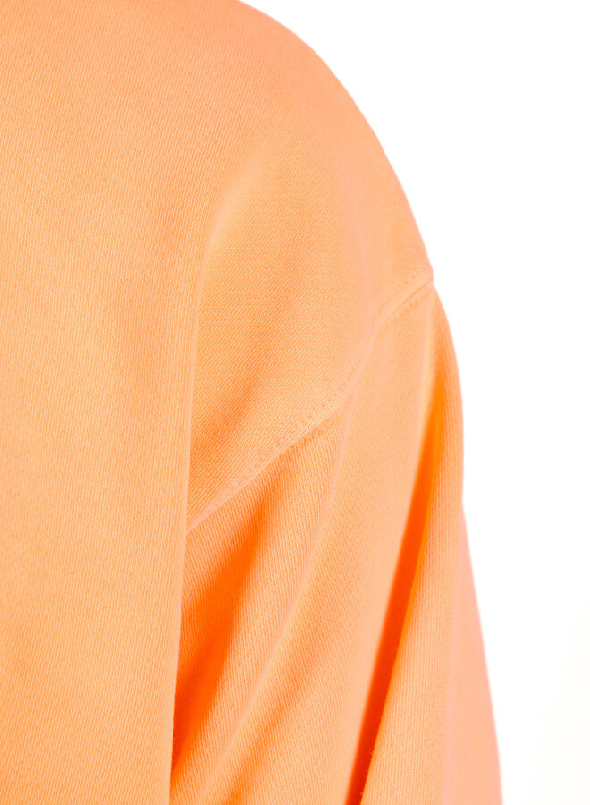 Mini Problemo Sweatshirt Men Coral