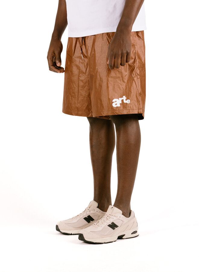 Big Logo Shorts Orange