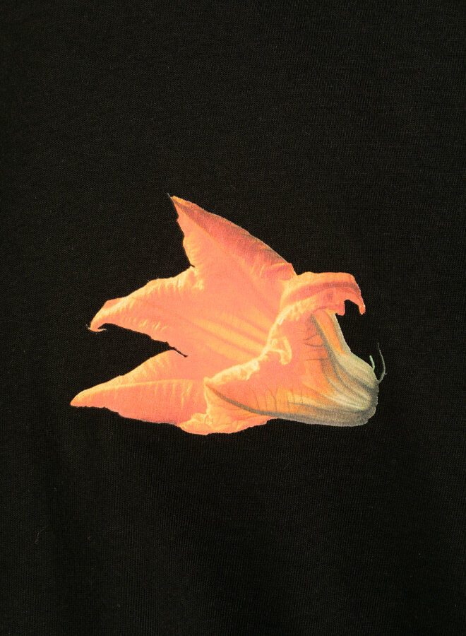 Filling Pieces T-shirt Boxy Zucchini Black