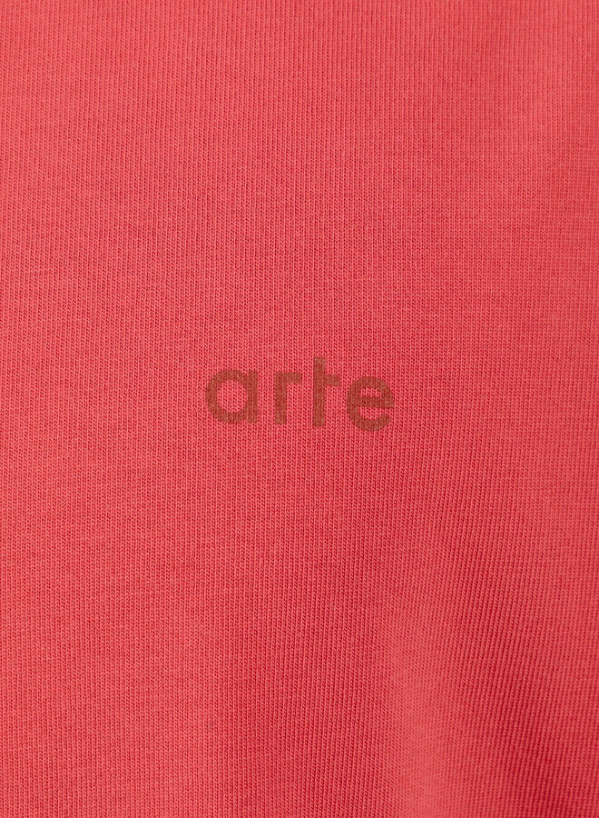 Stencil Sunfade Longsleeve Bordeaux