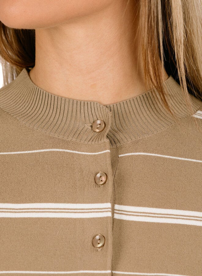 Striped Knitted Polo Chocolate Chip