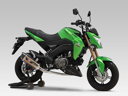 Kawasaki Z125Pro