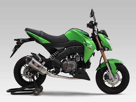 Kawasaki Z125Pro