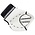 Warrior GT Catch Glove INT