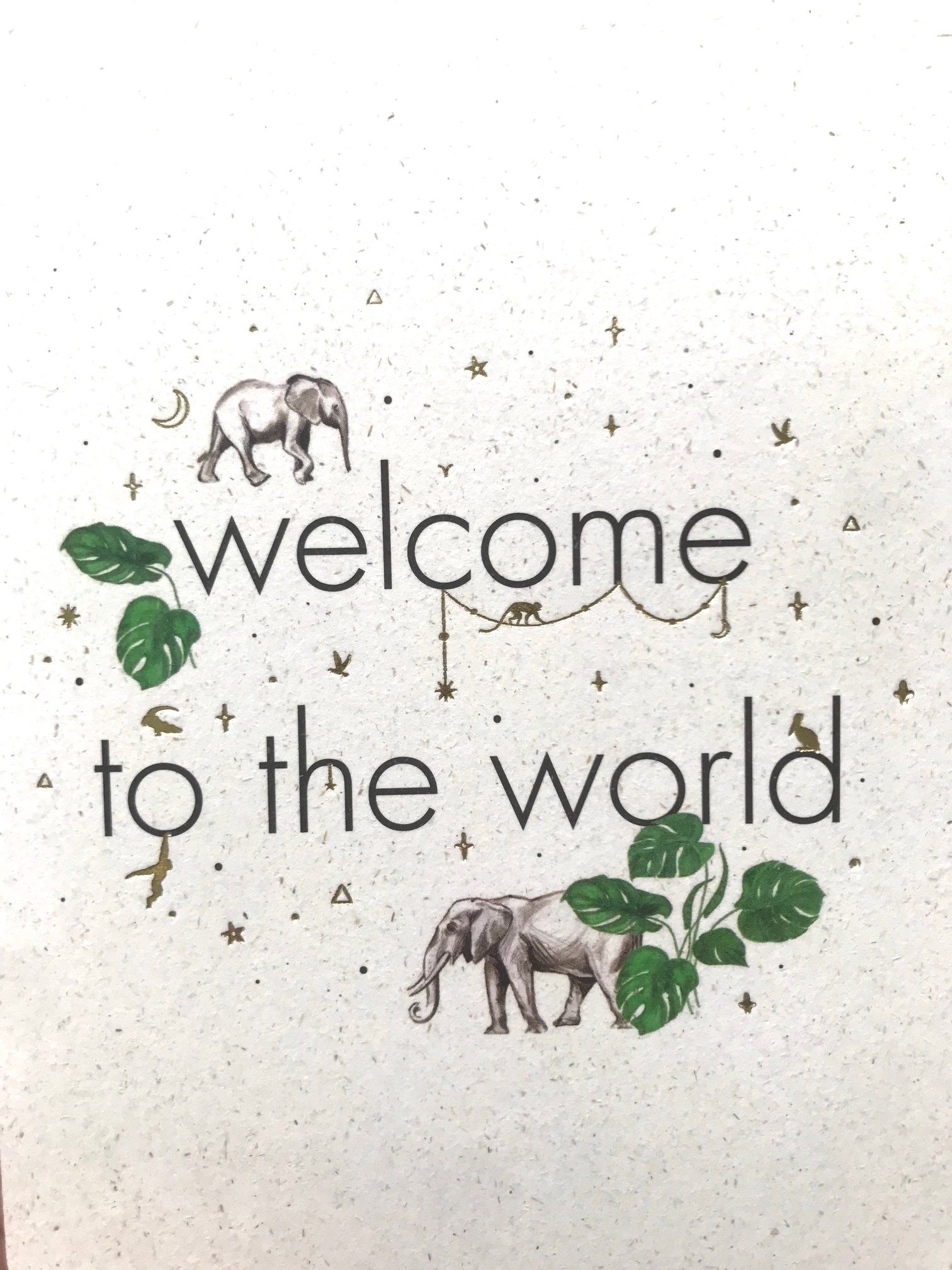 Creative Lab Amsterdam elephant grass greeting card - welcome to the world