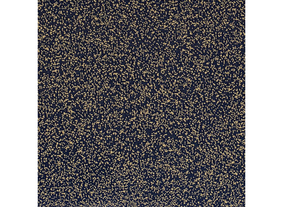 ECLECTIC COL. / 2018 45X30 STARRY SKY