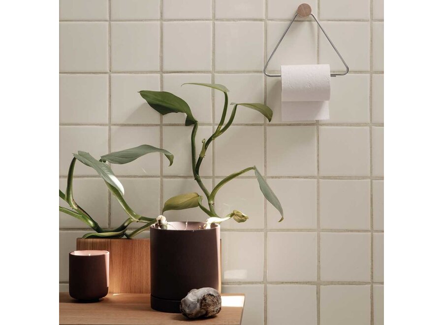 toilet paper holder - chrome