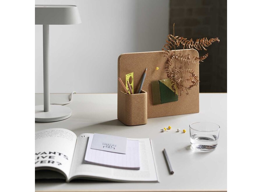 Story Pinboard - Cork