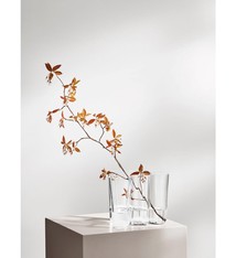 Iittala Alvar Aalto Vaas - h 160 mm - Helder
