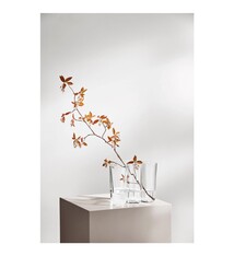 Iittala Alvar Aalto Vaas - h 160 mm - Helder