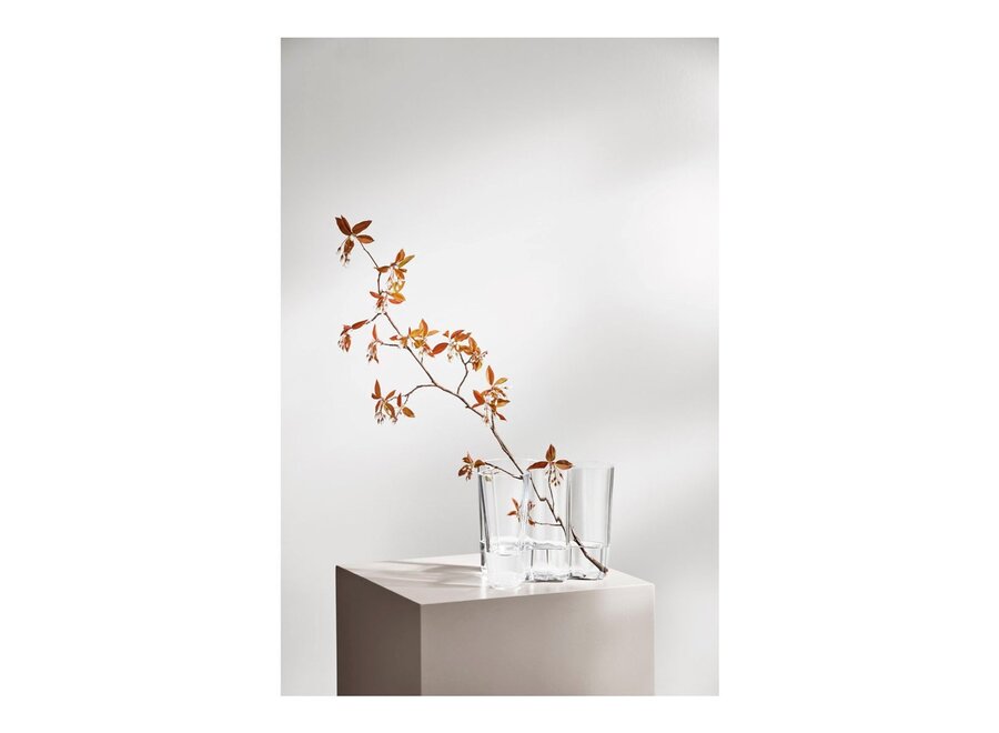 Alvar Aalto Vaas - h 160 mm - Helder