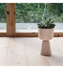 Iittala Nappula Plant Pot - Beige - 230 x 155 mm