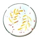 Val Pottery Val Pottery // Platter Gabriela / Yellow feathers