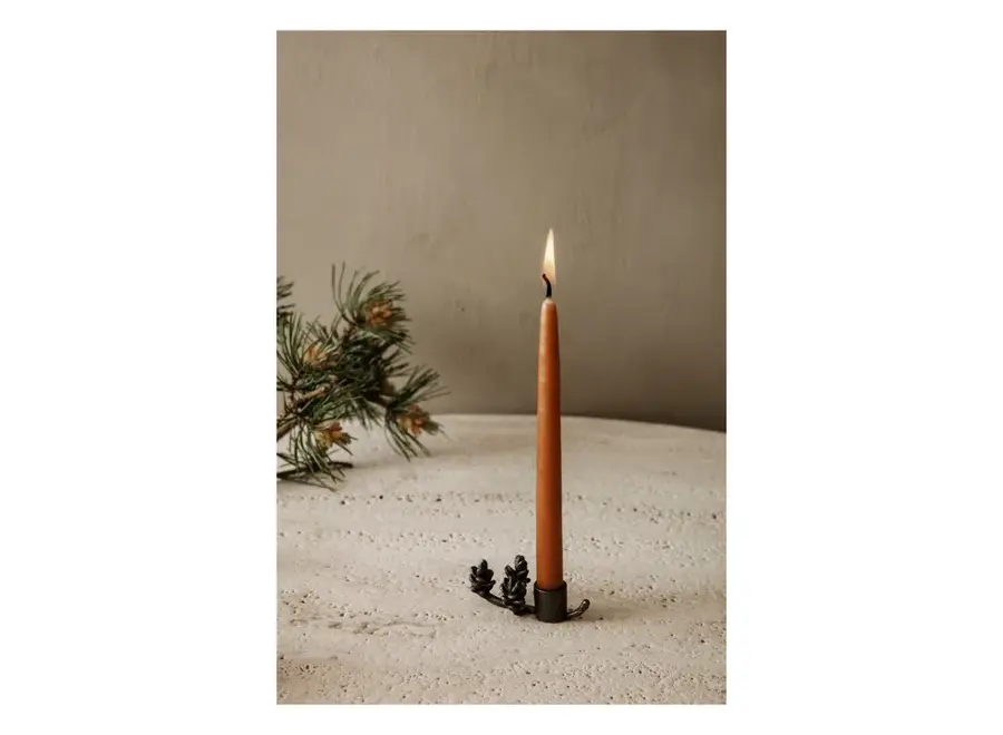Forest candle holder  // Black brass