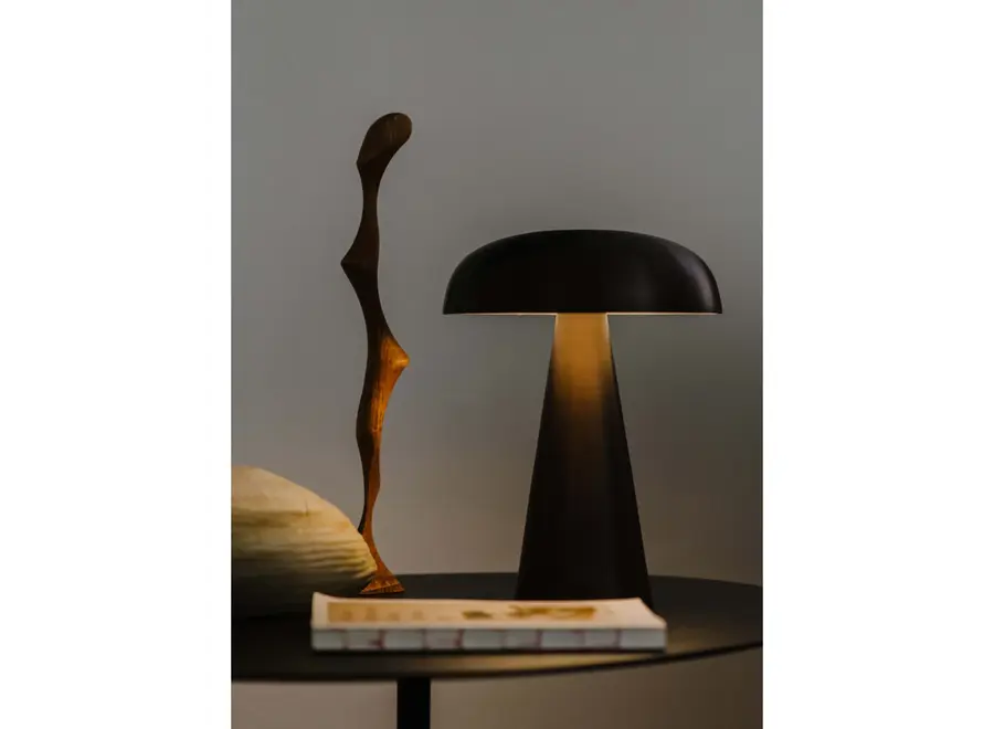 &TRADITION // COMO SC53 / BRONZED