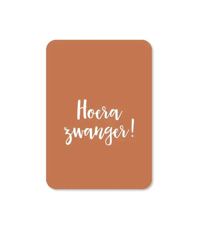 Piraten & Prinsessen A6 enkele Kaart met envelop -  zwanger!