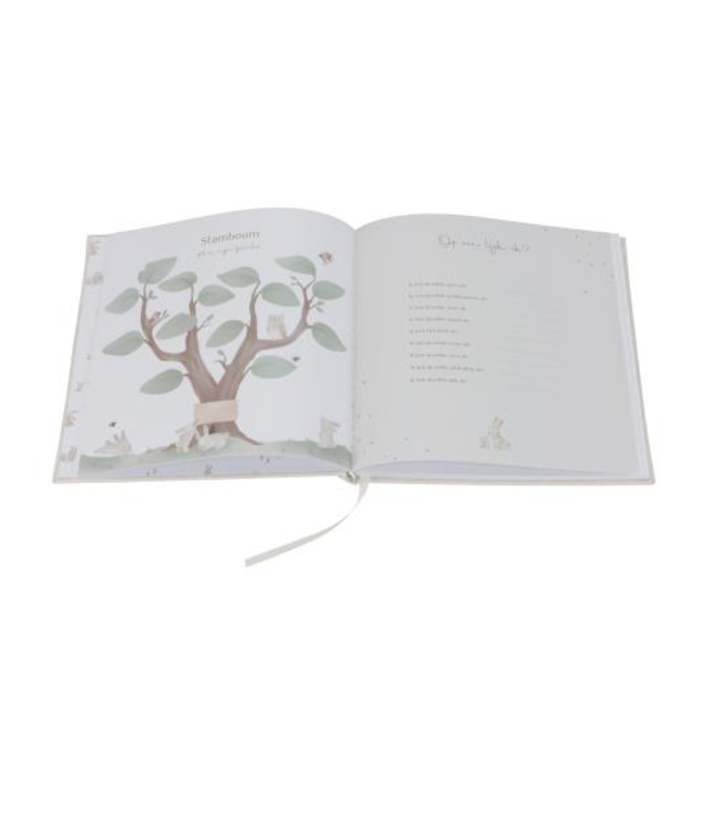Little Dutch Babyboek 'Mijn eerste jaar' - Baby Bunny