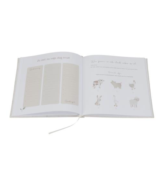 Little Dutch Babyboek 'Mijn eerste jaar' - Baby Bunny