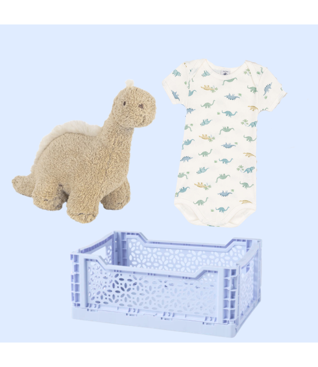 Piraten & Prinsessen Baby Dino pakket - 2 items
