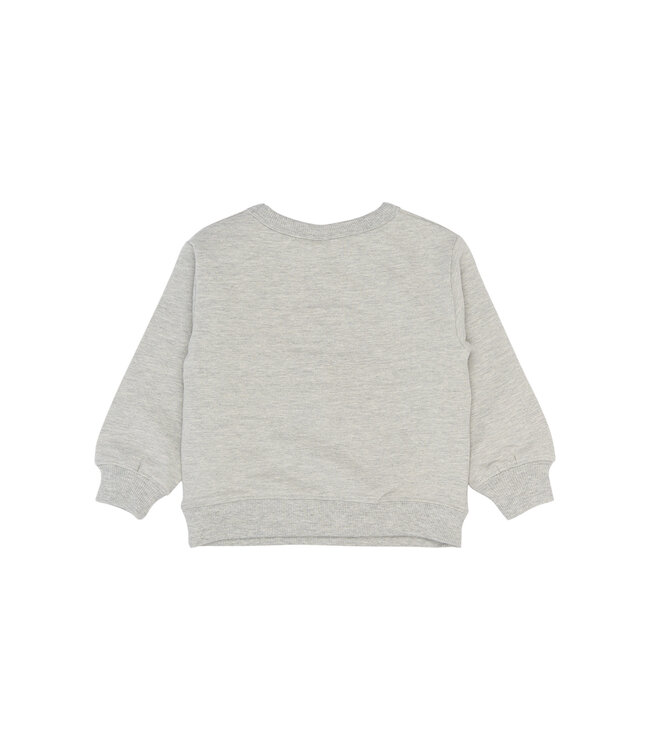 The New TNST6293 TNSTPippin OS Sweatshirt
