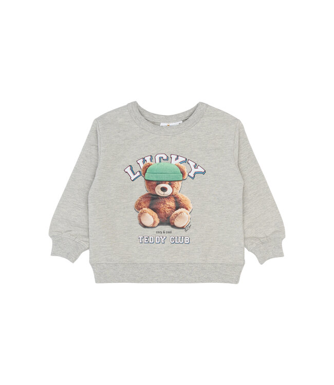 The New TNST6293 TNSTPippin OS Sweatshirt