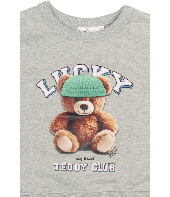 The New TNST6293 TNSTPippin OS Sweatshirt