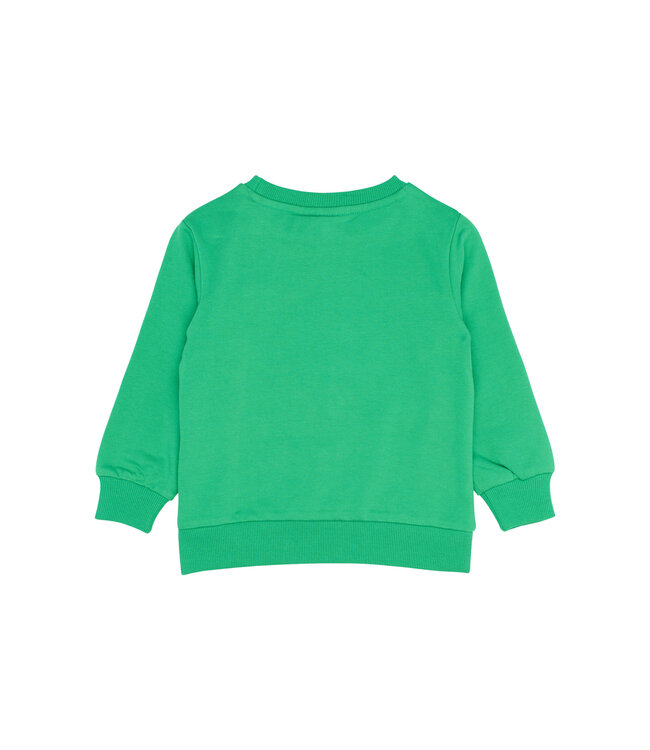 The New TNST6306 TNSTParlene Sweatshirt