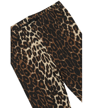 The New Legging