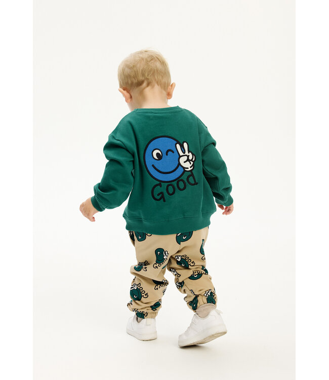 The New Copy of Copy of TNSTPer Sweatshirt Alpine Green Striped TNST6357