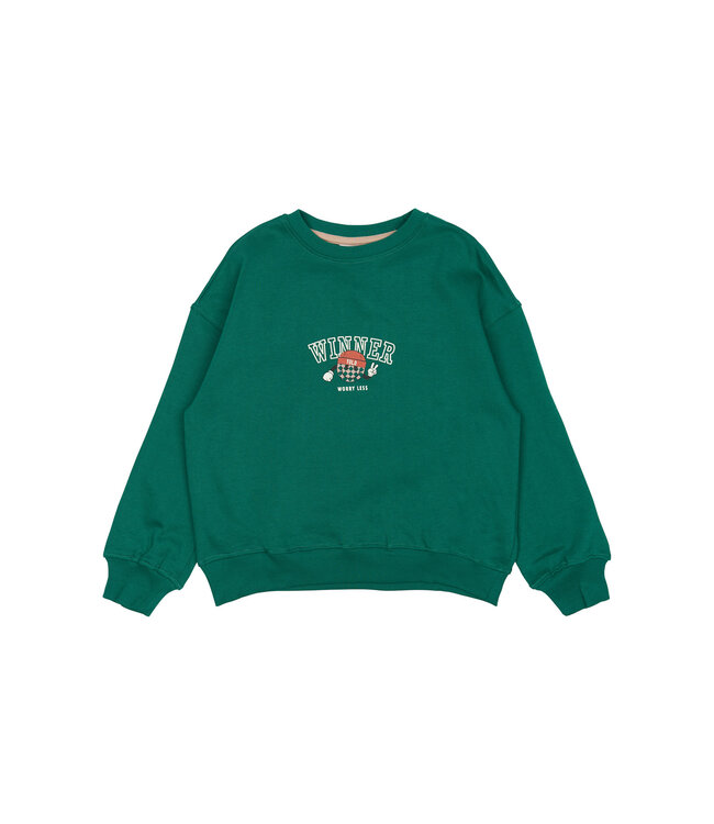 The New TN6482 TNPaul OS Sweatshirt Alpine Green