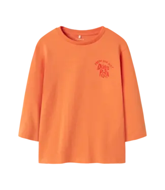 Name it mini T-Shirt lange mouw