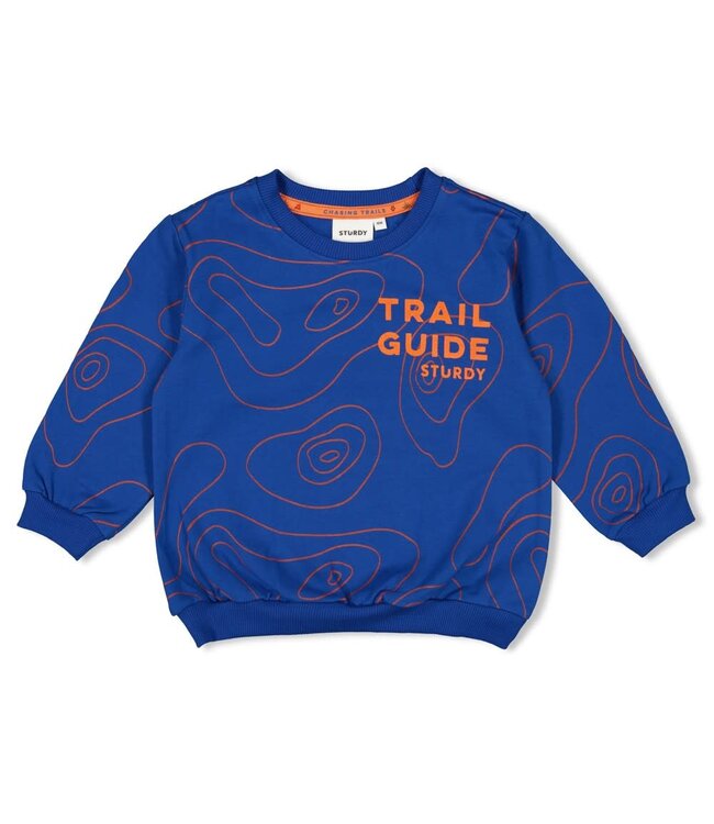 Sturdy 71600633 Sweater AOP - Chasing Trails Blauw