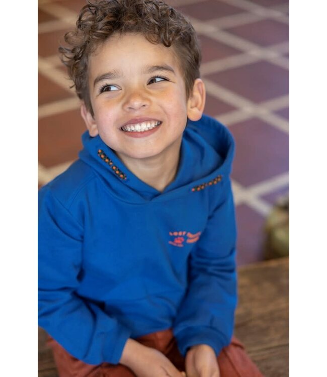 Sturdy 71600628 Hoody - Chasing Trails Blauw