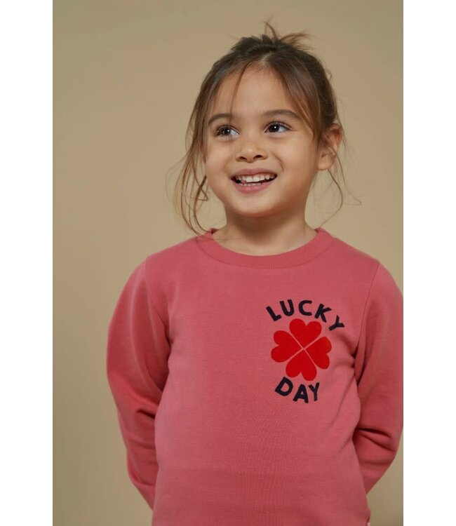 Jubel 91600442 Sweater - Queen Of Hearts Roze