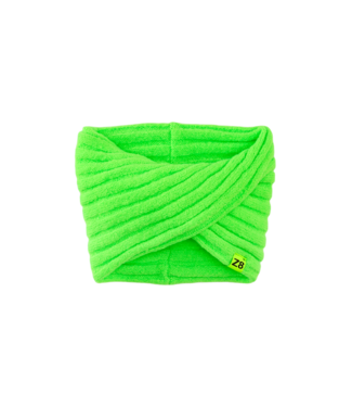 Z8 Indi Green gecko