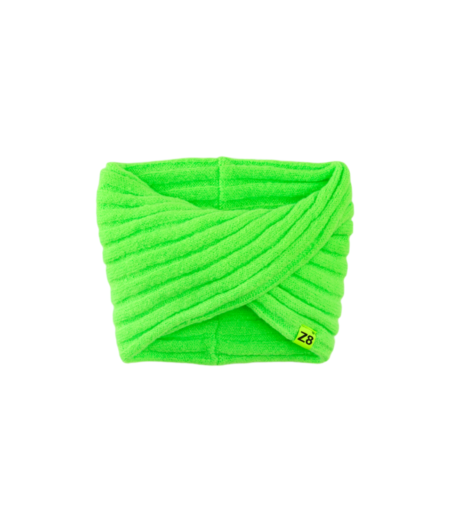 Z8 Indi Green gecko