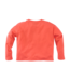 Z8 Caelin Tropical coral