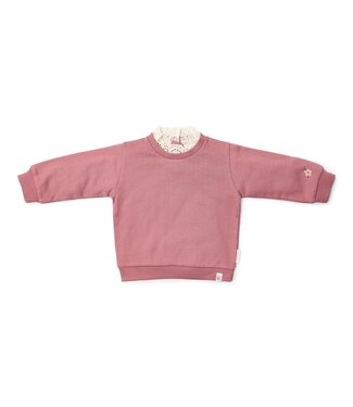 Little Dutch Trui Rouge CL250920 toddler forest friends