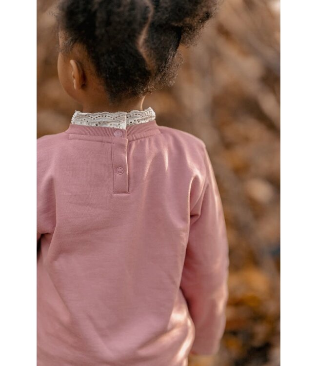 Little Dutch Trui Rouge CL250920 toddler forest friends